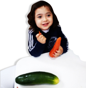 saudee1
